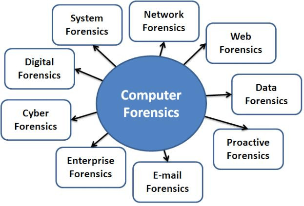 Computer Forensics: Network, Web, Data, Proactive, Email, Enterprise, Cyber, Digital, and System Forensics