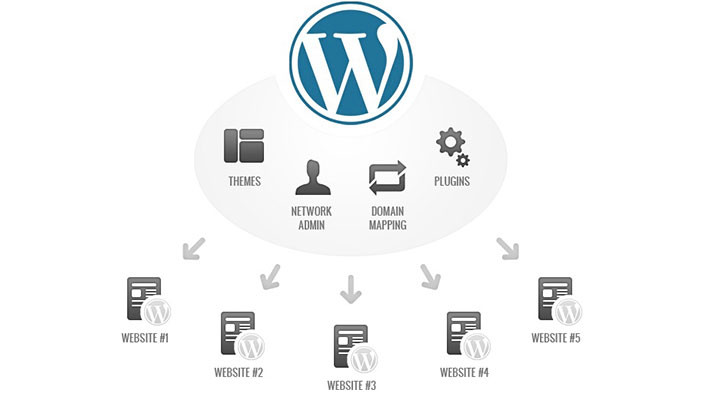 Wordpress: Themes, Network Admin, Domain mapping, Plugins